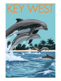 Key West  Florida - Dolphins Swimming