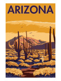 Arizona Desert Scene with Cactus