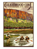 Cottonwood Cove  Colorado Views