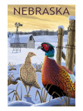 Pheasants - Nebraska