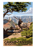 Grand Canyon National Park - Elk & Point Imperial