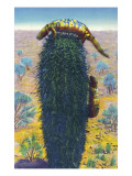 New Mexico - View of Gila Monsters on Cactus