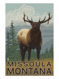 Missoula  Montana - Elk Scene