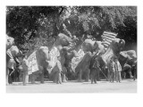 Circus Elephants Visit the White House