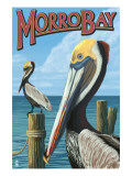 Morro Bay  CA - Pelicans