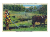 North Carolina - Cherokee Farmer with Ox-Drawn Plow