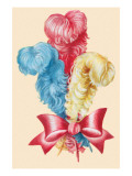 Hat Feathers
