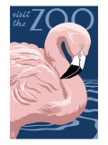 Flamingo - Visit the Zoo