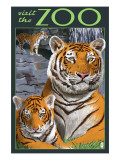 Visit the Zoo - Tiger Family
