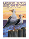 Anderson Island  WA Sea Gulls