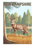 New Hampshire - White-Tailed Deer