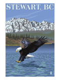 Stewart  BC - Eagle Fishing
