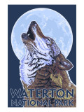 Waterton National Park  Canada - Wolf Howling