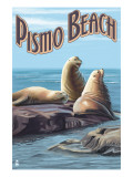 Pismo Beach  California - Sea Lions