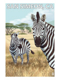 San Simeon  CA - Zebra Scene -