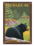Stewart  BC - Bear in Forest