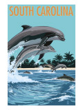 South Carolina - Dolphins Swimming
