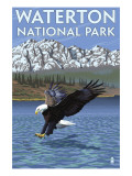 Waterton National Park  Canada - Eagle Fishing