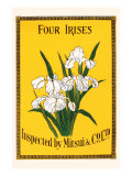 Four Irises
