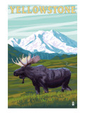 Yellowstone Nat'l Park - Moose & Mountain