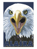 Eagle Up Close - Alaska