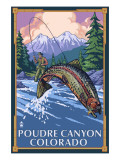 Poudre Canyon  Colorado - Fisherman