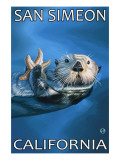 San Simeon  CA - Sea Otter -