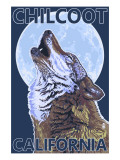 Chilcoot  California - Wolf Howling