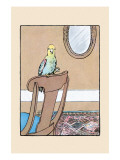 Polly Parrot on the Chair