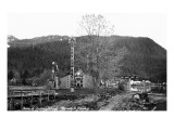 Wrangell  Alaska - View of Shakes Island and Totem Pole