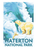 Waterton National Park  Canada - Polar Bear & Cub