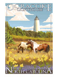 Ocracoke Lighthouse - Outer Banks  North Carolina