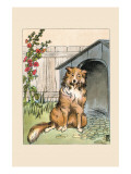 Old Prince And His Dog House