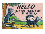 Comic Cartoon - Hello from One Stinker to Another; Two Skunks
