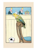 Polly Parrot