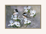 Sing For Joy