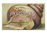 Anacortes  Washington - Shells & Sailboat Souvenir