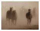 Ghost Horses