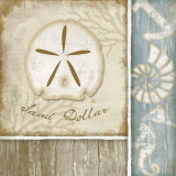 Sand Dollar