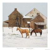 Four Weeks Until Spring