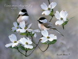 Sing For Joy