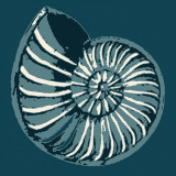 Nautilus