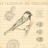 Bird IV