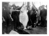 Halibut Fishermen on the Pacific-Alaska Coast  Undated