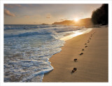 Footprints