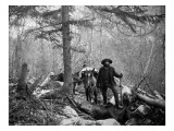Gold Prospector Traveling For Supplies  Undated
