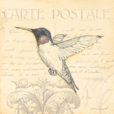 Bird III