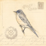 Bird I