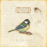 Color Bird IV