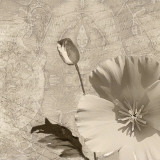 Vintage Rose I